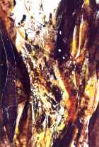 Podzimn vln II, abstrakce, 7000 K, . 89